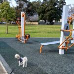 Ruby at the Park