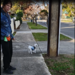 Ruby walking with John